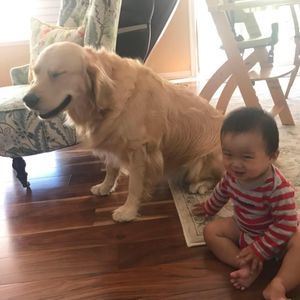 Meet your Posher, Huachen